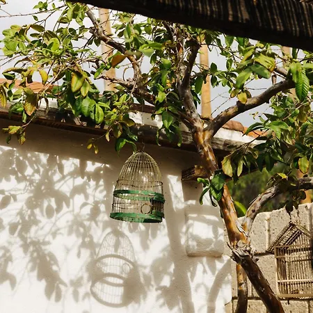 Casa Jable Nueva Villa Costa Adeje